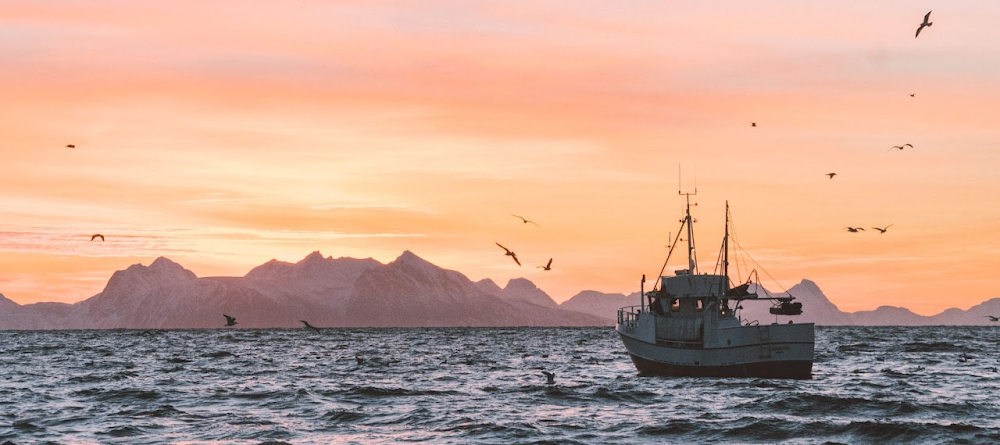 Fishing With The Locals